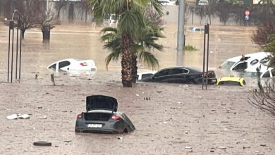 Photo of Adıyaman ve Şanlıurfa’da sel felaketi 10 can aldı